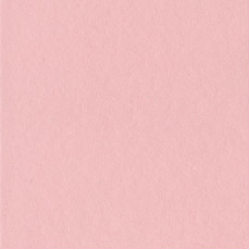 Passepartout VICTORIA 1,4mm White Core Rosa Confetto - Confezione da 10