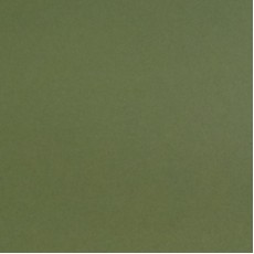 Passepartout VICTORIA 1,4mm White Core Verde Muschio - Confezione da 10